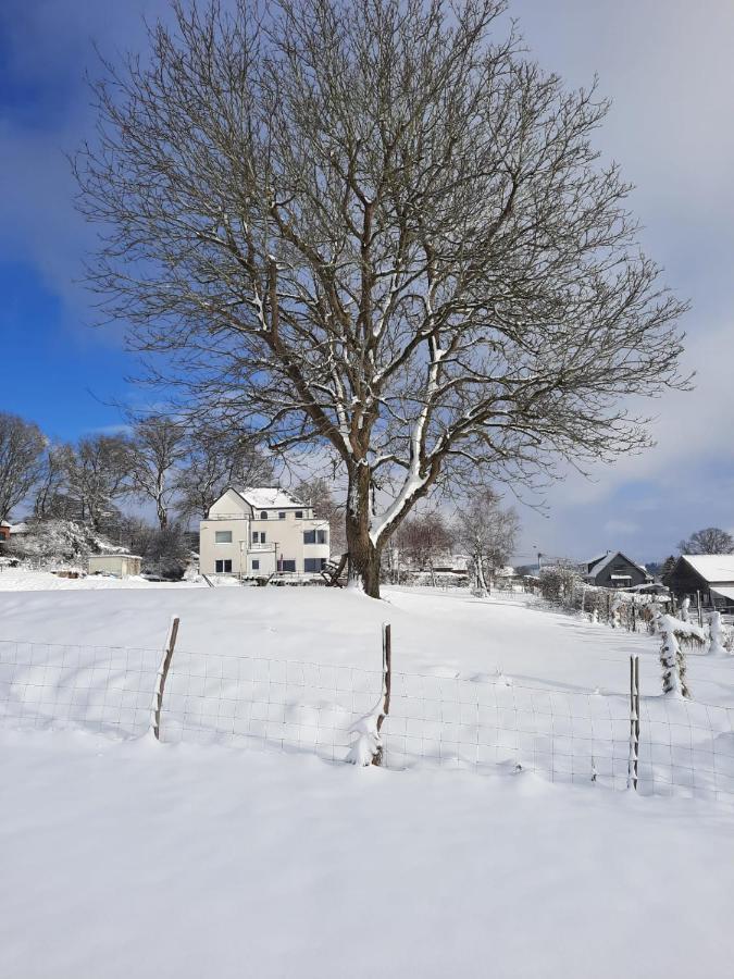 La Roseraie Affittacamere Stavelot